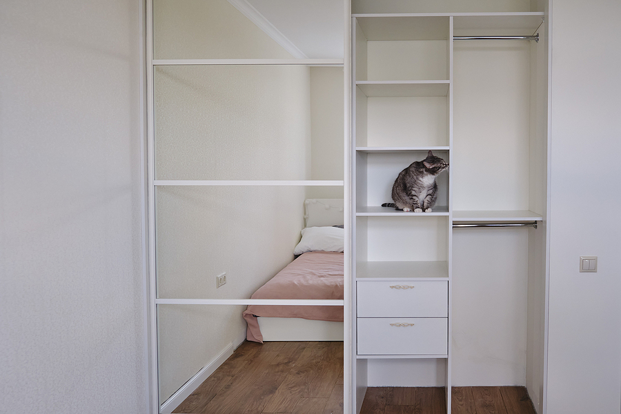 Online wardrobe builder - Cat-In-The-New-Empty-Closet-Pet-On-The-Shelf-In-The-Wardrobe